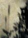 19_Untitled_8