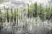 04_Water_Plants