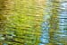 08_Ripples_and_Twigs