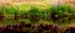 10_The_Pond
