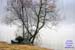 13_Spring_Thaw