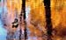 15_Fall_Creek