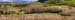 16_Colorado_Aspens