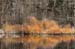 23_Lake_In_Winter