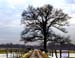 28_Winter_Farm_Road