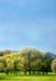 38_Big_Sky